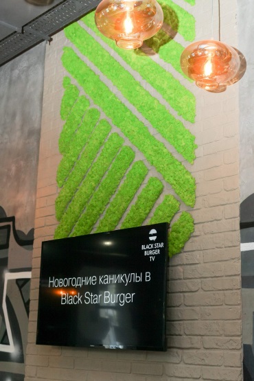 Фитостенки из мха Black Star Burger